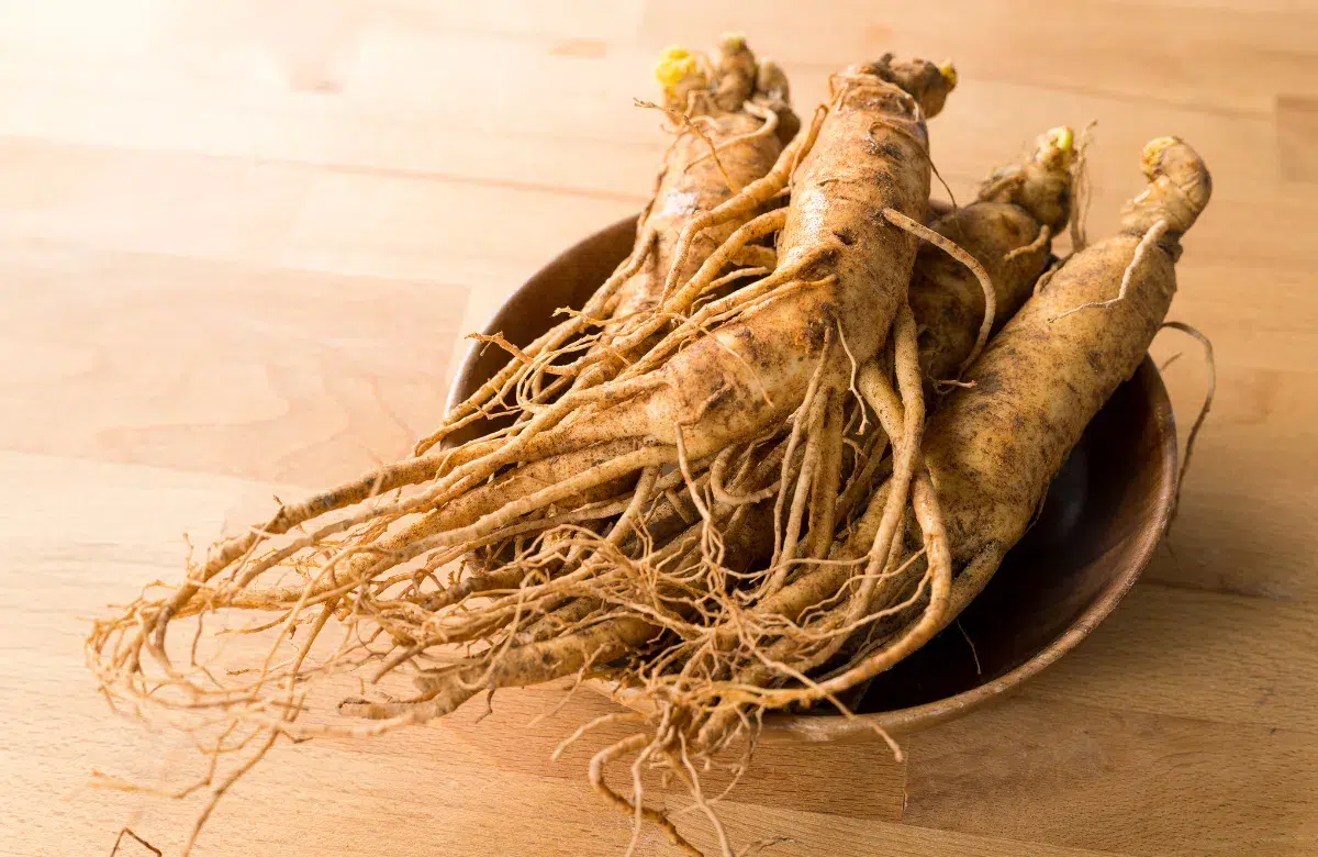 Lưu nháp tự động